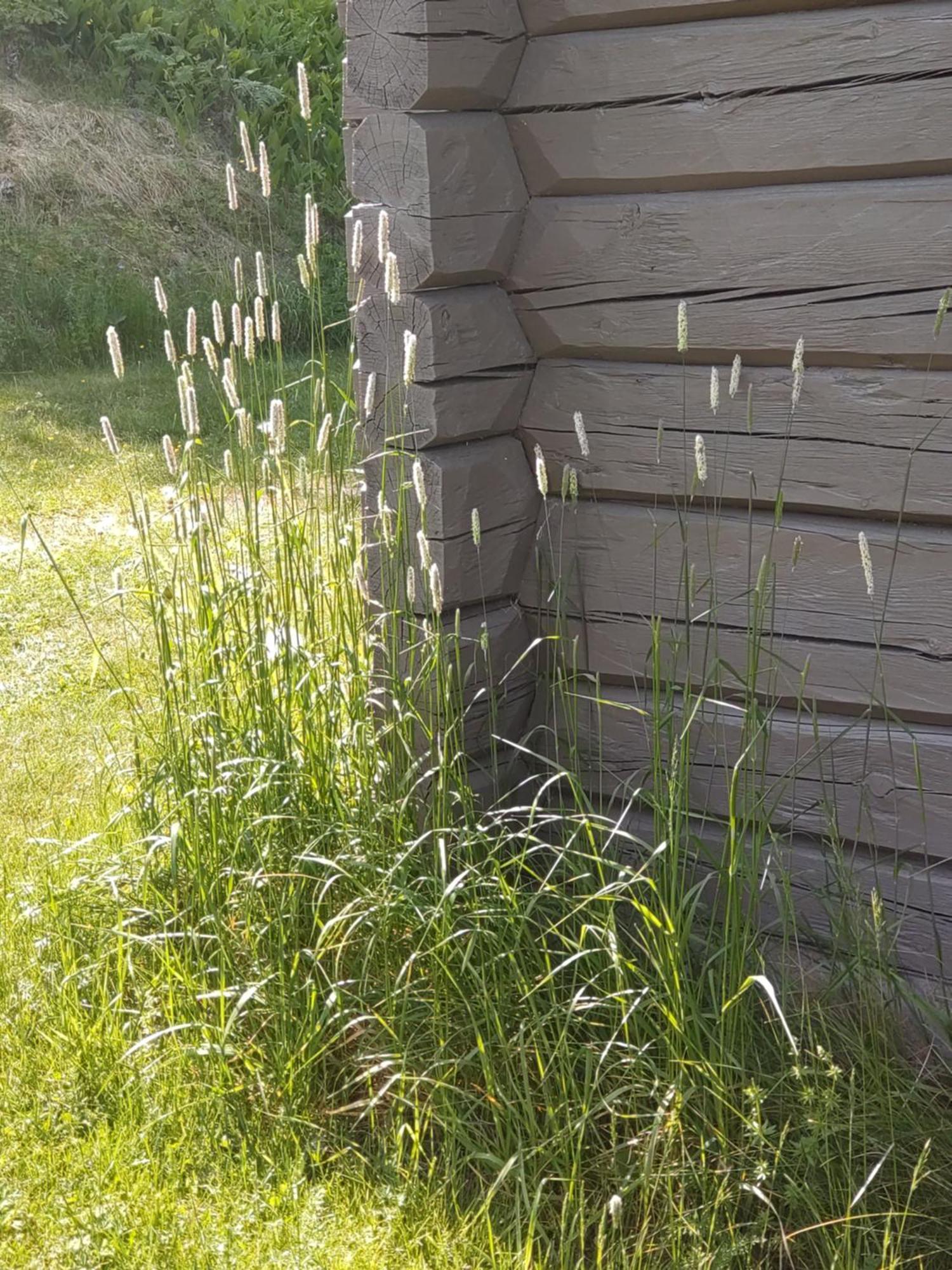 Fyrkloeverns Stugby Rättvik Dış mekan fotoğraf